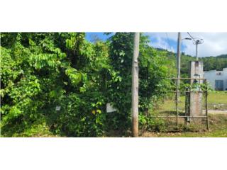 Puerto Rico - Bienes Raices VentaFinca de 7 cuerdas en Ceiba, PR Puerto Rico