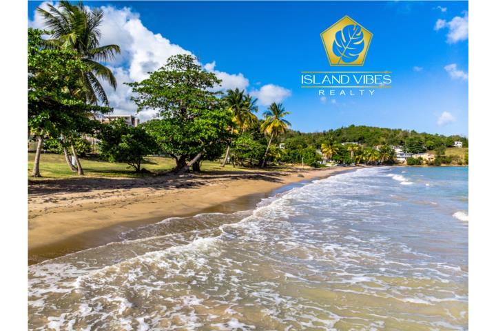 Mansiones De Playa Hucares Puerto Rico Venta Bienes Raíces Naguabo Puerto Rico Real Estate For 9819