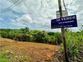 Puerto Rico - Bienes Raices VentaFinca 3 cuerdas en Naranjito Puerto Rico