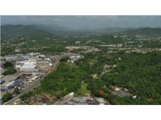 Puerto Rico - Bienes Raices VentaVacant Land Along PR-1 - FOR SALE Puerto Rico