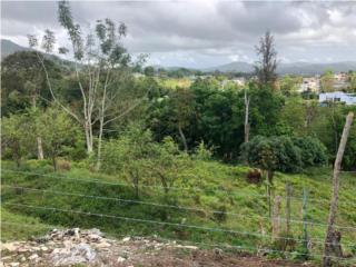 Puerto Rico - Bienes Raices VentaIdeal para construir la casa de tus sueos Puerto Rico