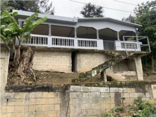 Puerto Rico - Bienes Raices VentaCasa de 2 Habitaciones en Bo.Carmen Guayama Puerto Rico