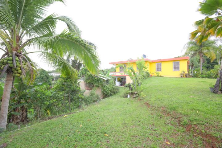 Mirabales Puerto Rico, Venta Bienes Raíces San Sebastián Puerto Rico