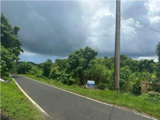 Galateo Alto Puerto Rico