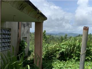 Puerto Rico - Bienes Raices Venta  OPCIONADA Beatriz, 2.9 acres, ravine Puerto Rico
