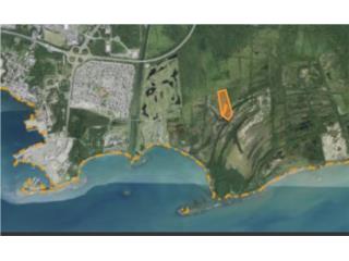 Puerto Rico - Bienes Raices Venta25 cuerdas para desarrollar Cerca Mar (RT.I) Puerto Rico