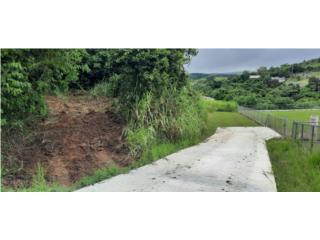 Puerto Rico - Bienes Raices Venta2.4 cuerdas en lugar privado - Bo Llanos Puerto Rico