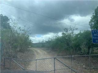 Puerto Rico - Bienes Raices VentaBo Guayabal Sector Tocadillo Carr 149 Puerto Rico