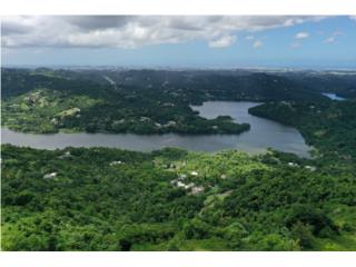 Puerto Rico - Bienes Raices Venta** 150 acres on top of the mountains ** Puerto Rico