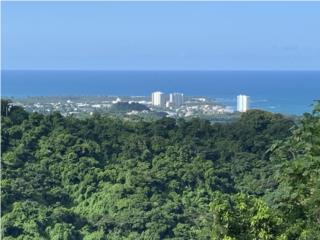 Puerto Rico - Bienes Raices VentaLUQUILLO - OCEAN VIEW, MOUNTAIN PRIVACY Puerto Rico