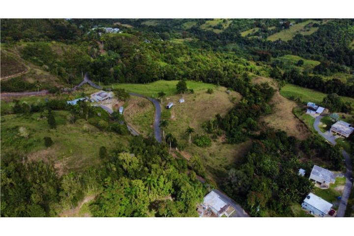 Quebrada Puerto Rico, Venta Bienes Raíces Camuy Puerto Rico, Real ...