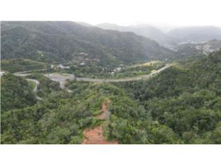 Bienes Raices Adjuntas Puerto Rico