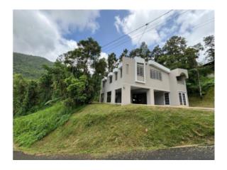 Puerto Rico - Bienes Raices VentaBO. FARALLON / CASA EN EL CAMPO Puerto Rico