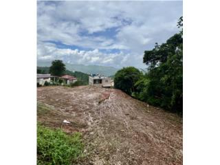 Puerto Rico - Bienes Raices VentaTerreno en venta - Bo Sabana- Orocovis PR Puerto Rico