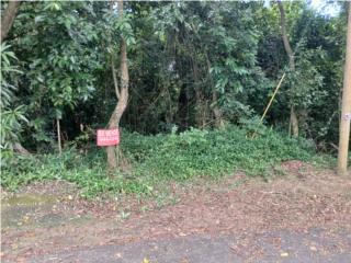 Puerto Rico - Bienes Raices VentaPEUELAS 18-Cuerda Property with River $100K Puerto Rico