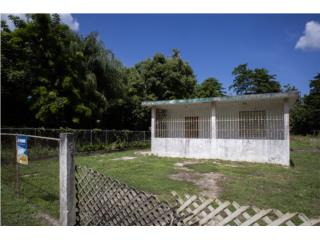 Clasificados Arecibo Puerto Rico