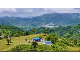 Clasificados Caguas Puerto Rico