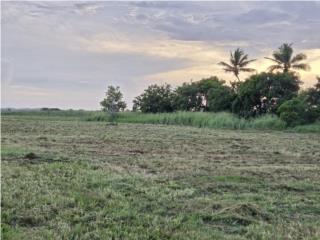 Puerto Rico - Bienes Raices VentaFlat Lot in Great Location Near Road 110 Puerto Rico