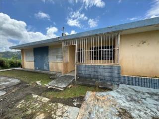 Puerto Rico - Bienes Raices VentaBo Dajaos Carr 829 - Casa Terrera Puerto Rico