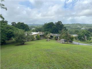 Ceiba Norte Puerto Rico