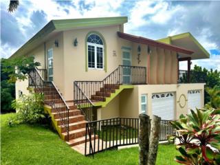 Bienes Raices Cayey Puerto Rico