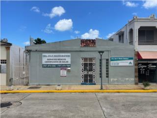 Pueblo de Toa Alta Puerto Rico