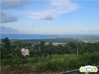 Puerto Rico - Bienes Raices Venta Ceiba -TERRENO con vista al mar Puerto Rico