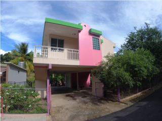 Puerto Rico - Bienes Raices VentaBo. Rio Hondo, Sec Mano Sico, Mayagez, $130K Puerto Rico