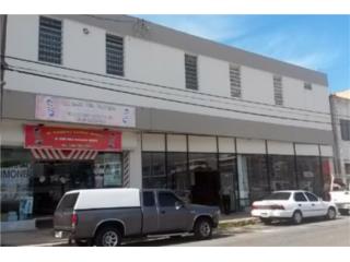 113 DR. VEVE ST. Bayamon Edificio Comercial