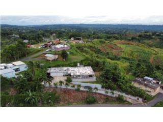 Clasificados Gunica Puerto Rico