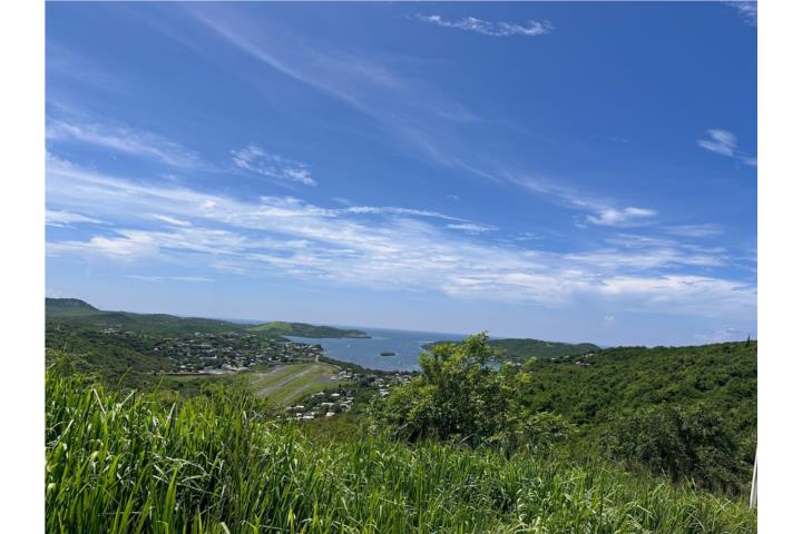 San Isidro Puerto Rico