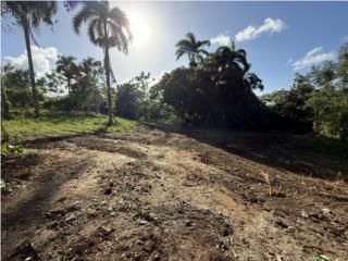 FINCA 2.17 CUERDAS (2.10 ACRES), PR 446 