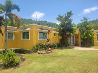 Puerto Rico - Bienes Raices VentaLuxury Countryside House - Trujillo Alto, PR Puerto Rico