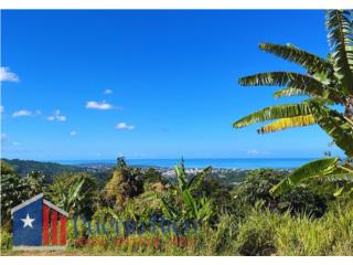 Puerto Rico - Bienes Raices VentaLot with Beautiful Ocean Views in Mayaguez Puerto Rico