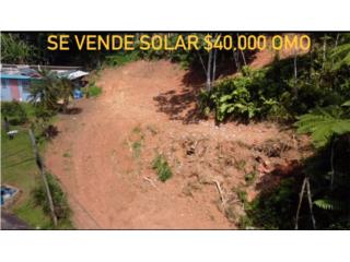 Puerto Rico - Bienes Raices VentaEspectacular solar en Lares de 734.59 m2 Puerto Rico