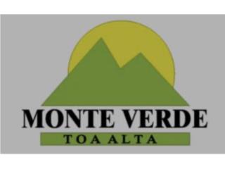 Monteverde Puerto Rico