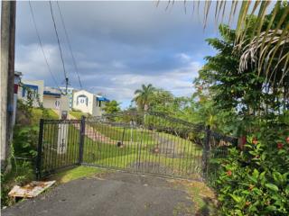 Puerto Rico - Bienes Raices VentaPrivada y hermosa residencia en Bo Calabazas  Puerto Rico