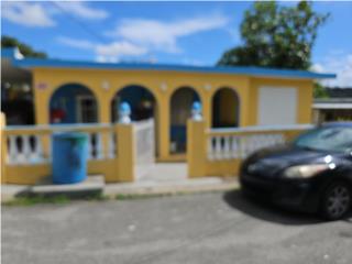 Puerto Rico - Bienes Raices VentaBO. FLORIDA,  3 DORMS., SAN LORENZO  Puerto Rico