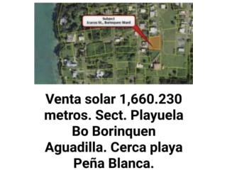 Puerto Rico - Bienes Raices Ventaterreno BO Borinquen sector playuelas Puerto Rico