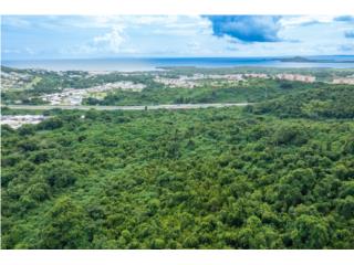 Puerto Rico - Bienes Raices Venta78 Cuerdas Of Vacant Lands with Ocean Views Puerto Rico