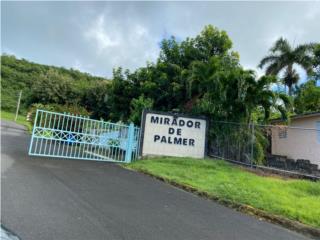 Mirador De Palmer Puerto Rico