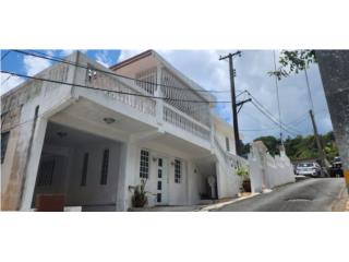 Puerto Rico - Bienes Raices VentaPropiedad con 2 unidades vivienda Barranquita Puerto Rico