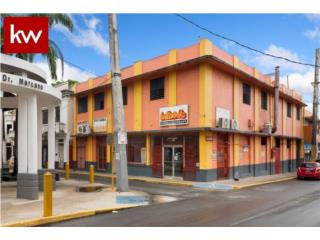 Puerto Rico - Bienes Raices VentaBO. PUEBLO, PROPIEDAD COMERCIAL EN ARECIBO Puerto Rico