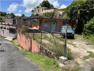 Puerto Rico - Bienes Raices VentaCasa en el campo Lirios de Juncos  Puerto Rico