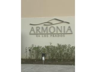 Armonia en Los Prados Puerto Rico