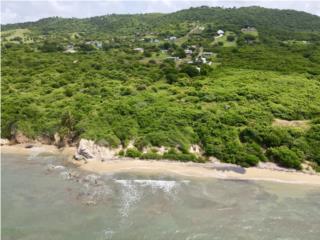 Puerto Rico - Bienes Raices VentaVIEQUES - La Hueca - 3 beachfront acres  Puerto Rico