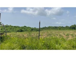 Puerto Rico - Bienes Raices Venta40 CUERDAS Y ESTRUCTURA  @@J@@ HAGA SU OFERTA Puerto Rico