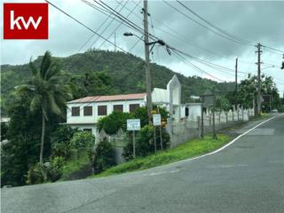 Guaraguao Puerto Rico