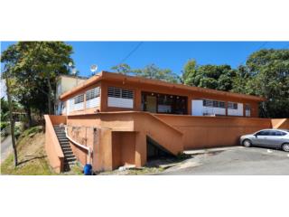 Puerto Rico - Bienes Raices VentaBo. Jayuya Abajo multifamiliar (5) 175 k Puerto Rico