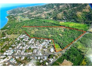 Puerto Rico - Bienes Raices Venta44 Cuerdas de Terreno, Bo. Playa, Aasco Puerto Rico